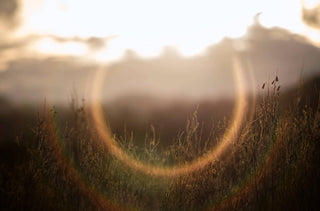 Est-ce normal de voir des halos autour des lumières ? Quand devons-nous nous inquiéter ?