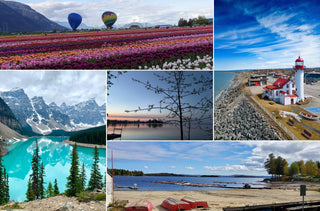 Collage d'images prises par des employés IRIS à travers le Canada