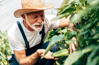 Conseils pour protéger vos yeux pendant la saison du jardinage