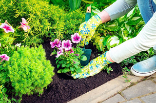 Une personne qui jardine 