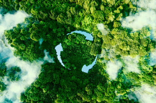 Forêt vue du haut avec 3 rivières qui forme un signe de recyclage