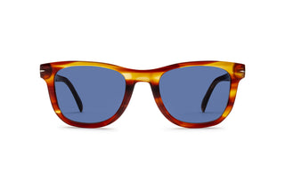 1000019600 Tortoise image-1