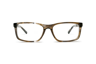 1000026890 Tortoise image-1