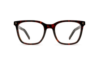 1200014990 Tortoise image-1