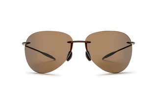 1771104440 Tortoise image-1