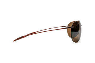 1771104440 Tortoise image-2