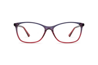 2120102070 Purple/Pink image-1