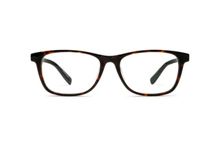 2130101760 Tortoise/Green image-1