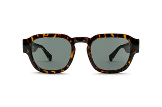 2130102860 Tortoise image-1