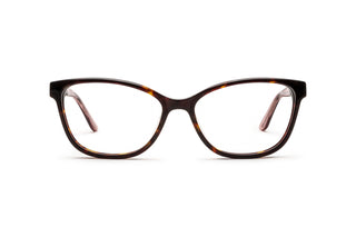 2150102960 Tortoise/Brown image-1