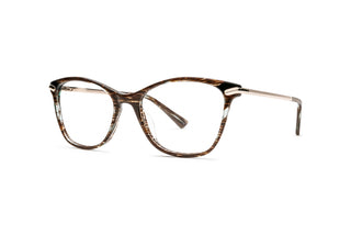 2150104050 Brown/Gold image-3