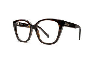 2160103320 Tortoise image-3