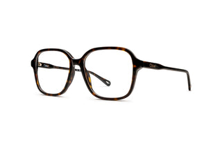2160103640 Tortoise image-3
