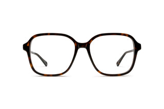 2160103640 Tortoise image-1