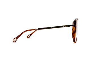 2160103780 Tortoise/Gold image-2