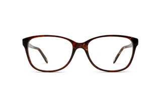 2510105240 Tortoise image-1