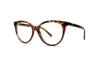 2510105600 Tortoise image-3