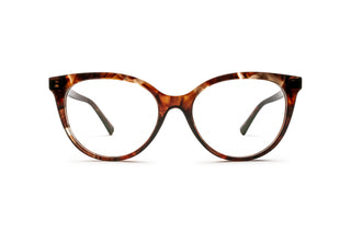 2510105600 Tortoise image-1