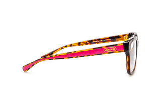 2740104720 Tortoise image-2