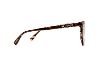 2740106100 Tortoise image-2