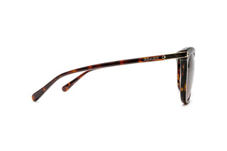 2740107010 Tortoise image-2