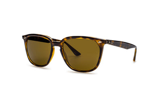 3330107300 Tortoise image-3