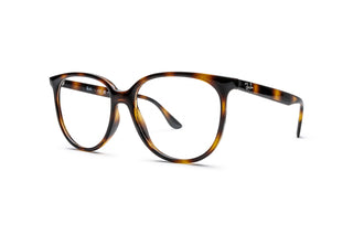 3330107520 Tortoise image-3