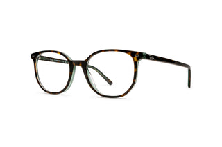3330114040 Green/Tortoise image-3