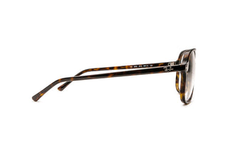 3330124970 Tortoise image-2