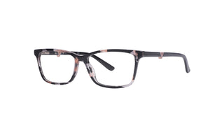 3400102010 Tortoise image-3