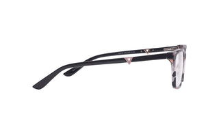 3400102010 Tortoise image-2