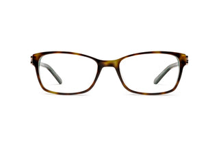 3400102290 Tortoise image-1