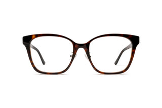 3400106410 Tortoise image-1