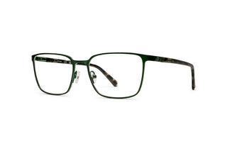 3400106460 Green/Tortoise image-3