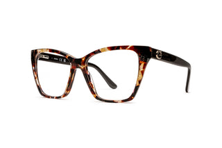 3400106480 Tortoise/Brown image-3