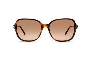 3440100300 Tortoise/Gold image-1