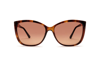 3440100320 Brown image-1