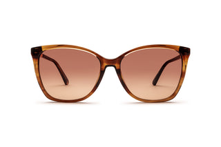 3440100390 Tortoise image-1