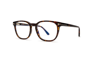 3520103600 Tortoise image-3