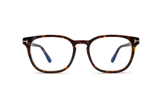 3520103600 Tortoise image-1