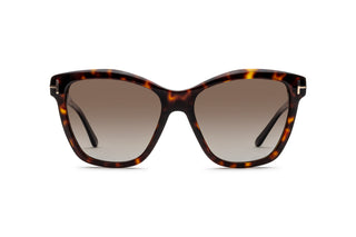 3520104970 Tortoise image-1