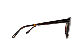 3520104970 Tortoise image-2