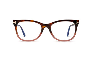 3520105190 Tortoise image-1