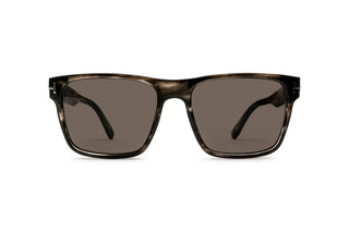 3520105350 Tortoise image-1