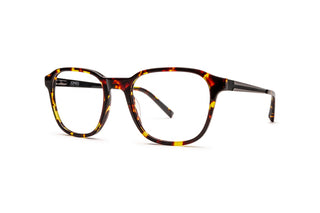 3790102460 Tortoise image-3