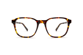 3790102460 Tortoise image-1