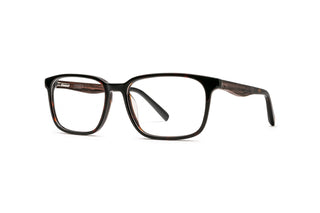 3790102750 Tortoise image-3