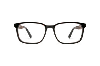 3790102750 Tortoise image-1