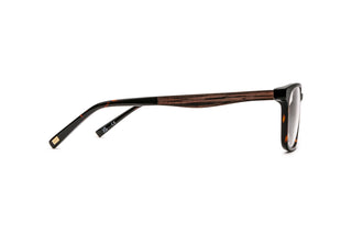 3790102750 Tortoise image-2