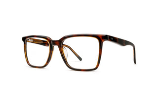 3790103190 Tortoise image-3